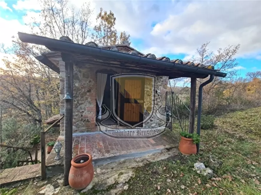 Immagine 19 di Rustico / casale in vendita  a Chiusdino