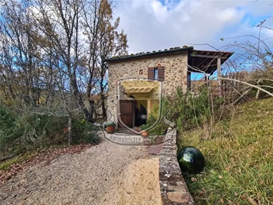 Immagine 21 di Rustico / casale in vendita  a Chiusdino