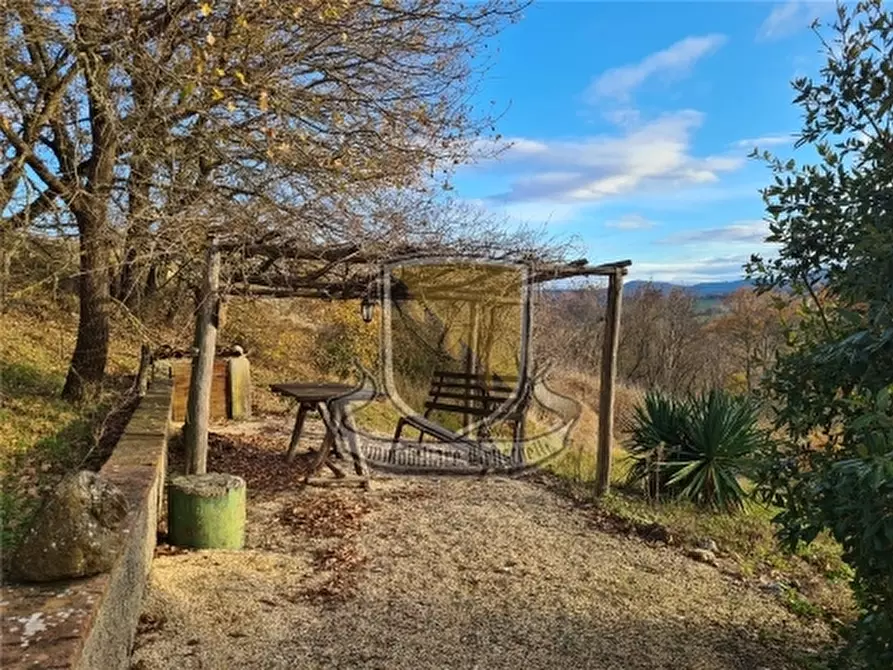 Immagine 23 di Rustico / casale in vendita  a Chiusdino