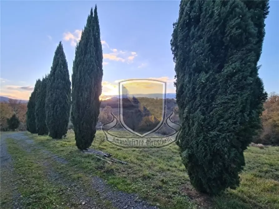 Immagine 27 di Rustico / casale in vendita  a Chiusdino