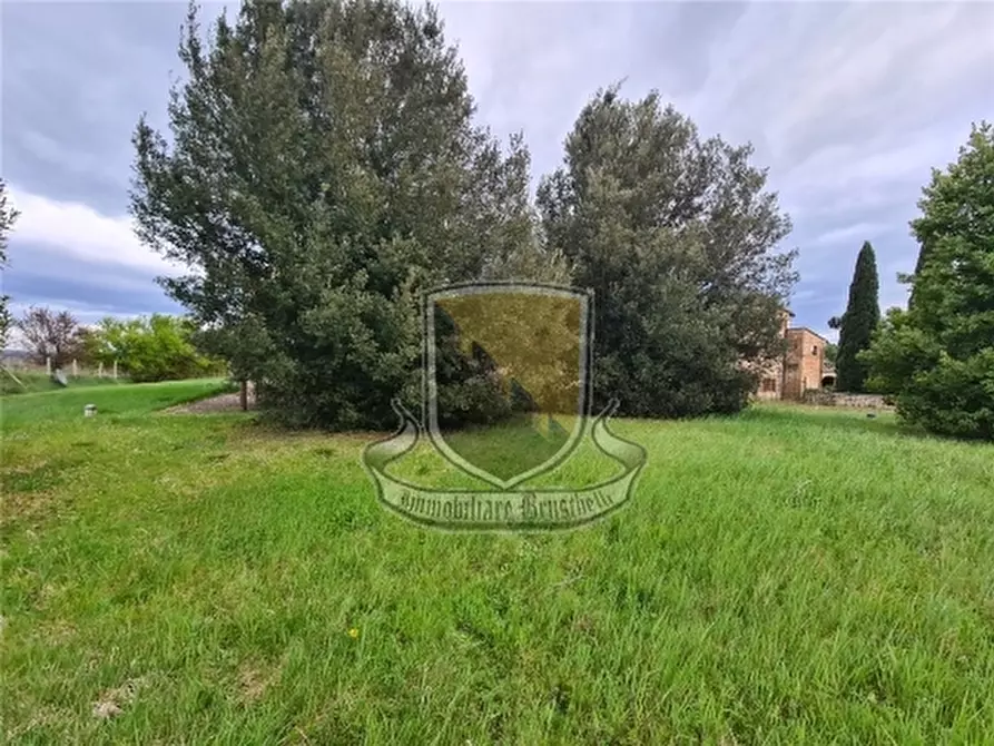 Immagine 47 di Rustico / casale in vendita  a Siena