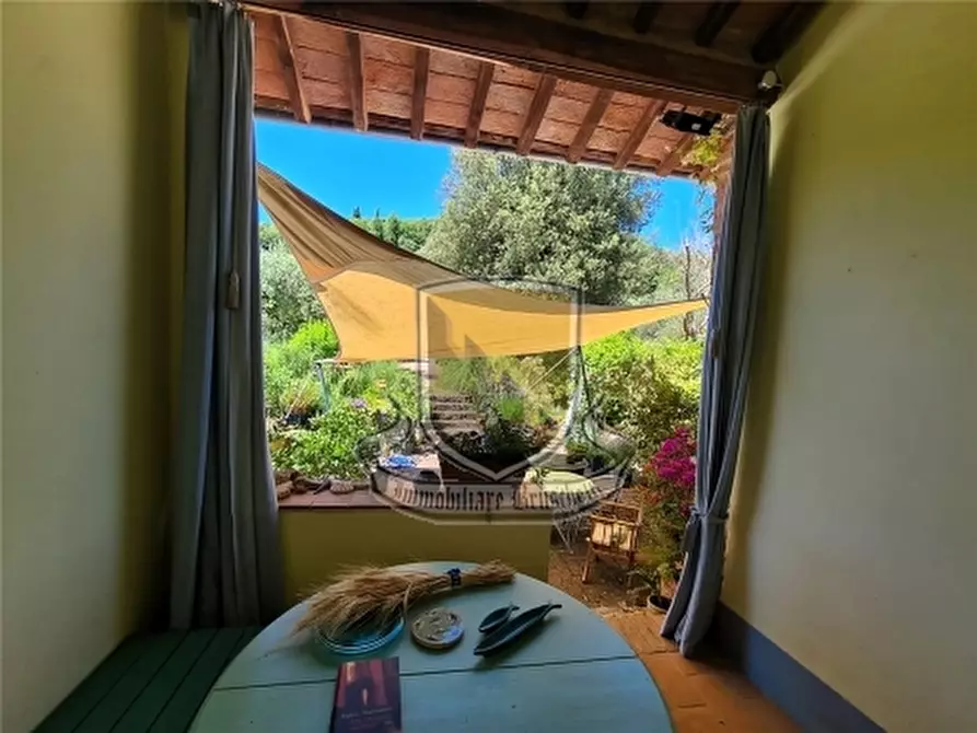 Immagine 10 di Rustico / casale in vendita  a Sovicille