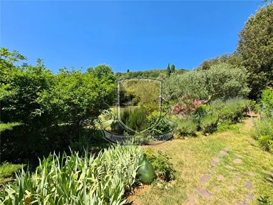 Immagine 41 di Rustico / casale in vendita  a Sovicille