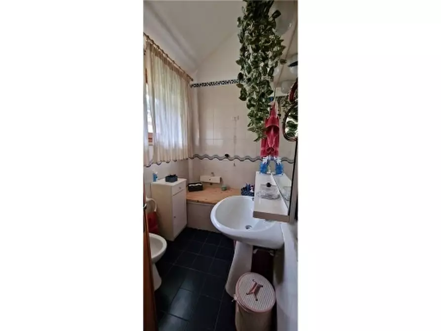 Immagine 14 di Villa in vendita  a Rosignano Marittimo