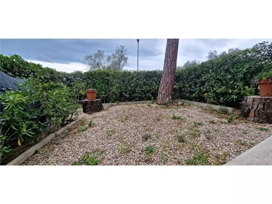 Immagine 21 di Villa in vendita  a Rosignano Marittimo