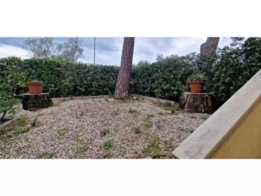 Immagine 71 di Villa in vendita  a Rosignano Marittimo