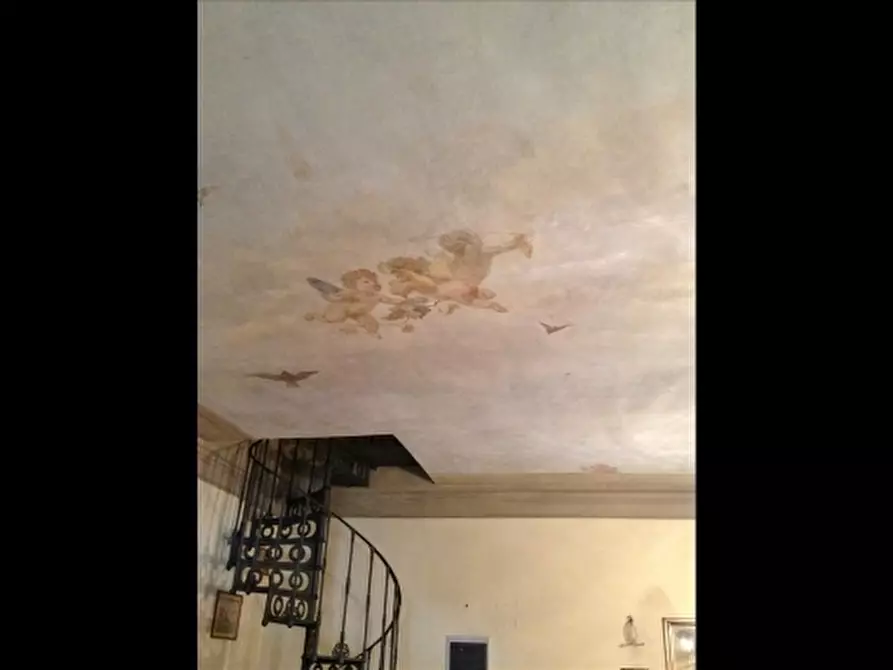 Immagine 18 di Villa in vendita  a Sesto Fiorentino