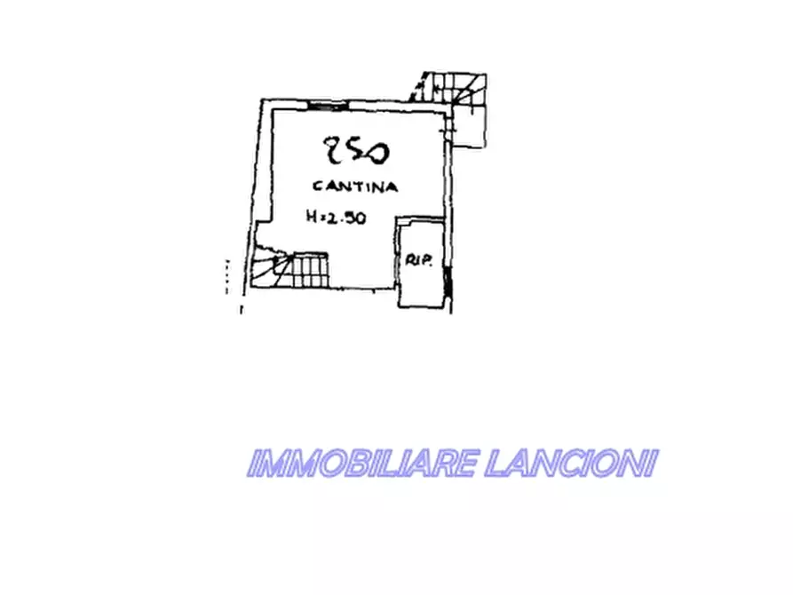 Immagine 40 di Villa in vendita  a Lastra A Signa