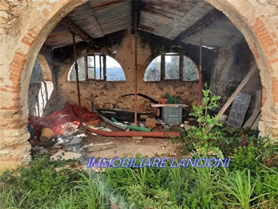 Immagine 33 di Rustico / casale in vendita  a Scandicci