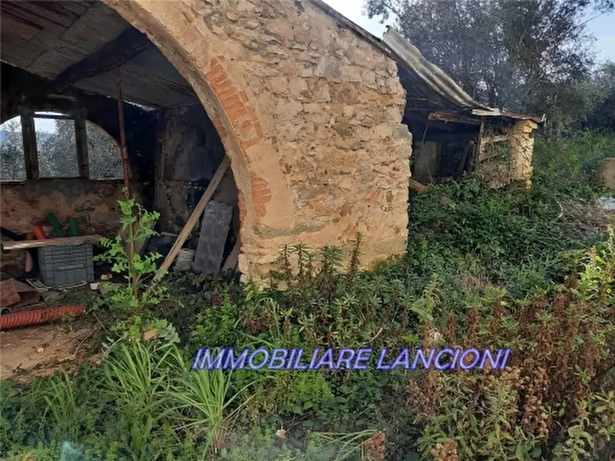 Immagine 36 di Rustico / casale in vendita  a Scandicci