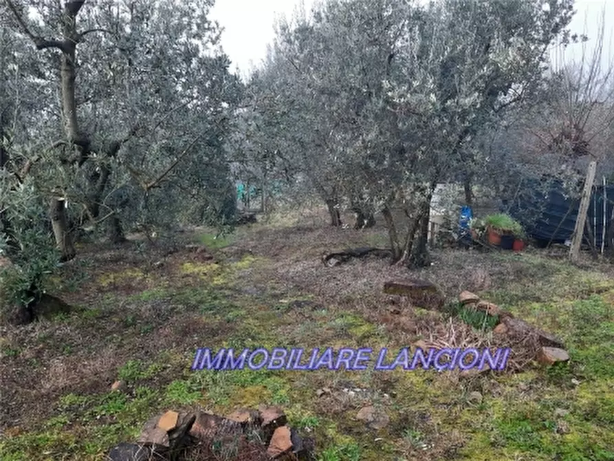 Immagine 1 di Appartamento in vendita  a Scandicci