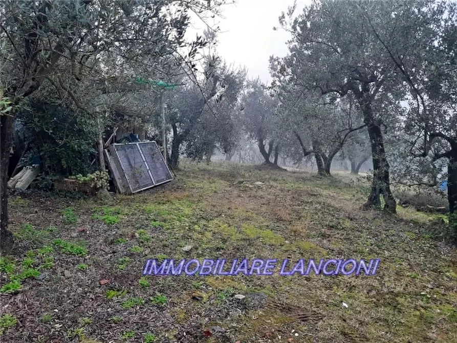 Immagine 3 di Appartamento in vendita  a Scandicci