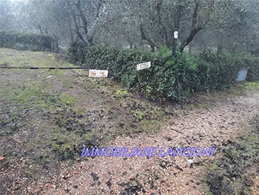 Immagine 4 di Appartamento in vendita  a Scandicci