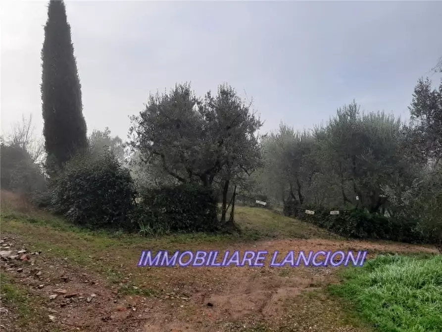 Immagine 5 di Appartamento in vendita  a Scandicci