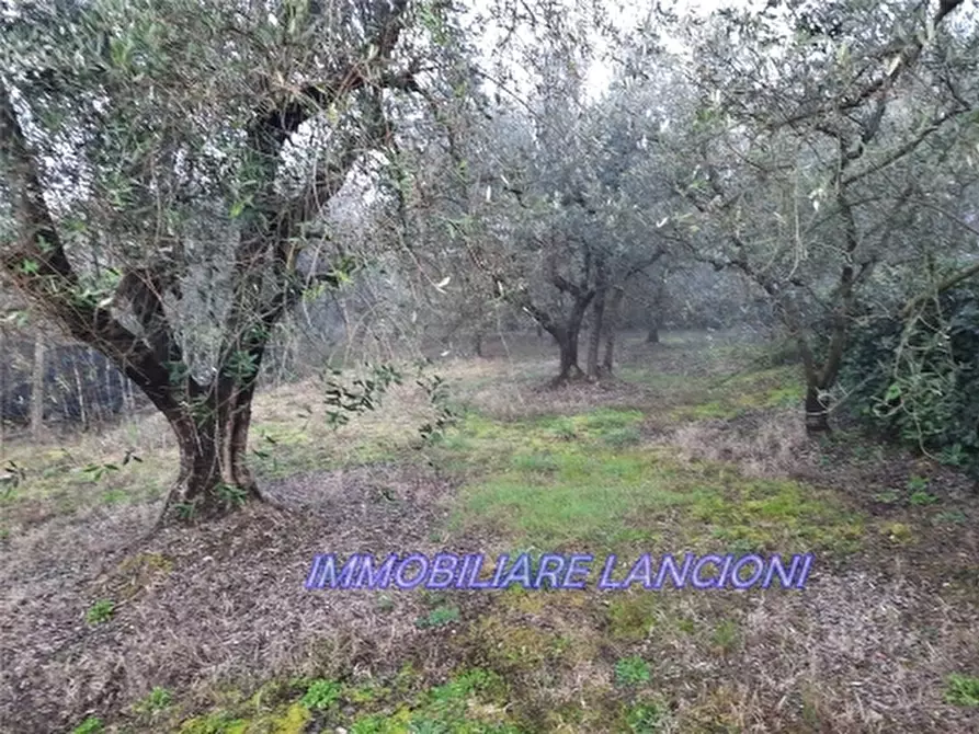 Immagine 8 di Appartamento in vendita  a Scandicci