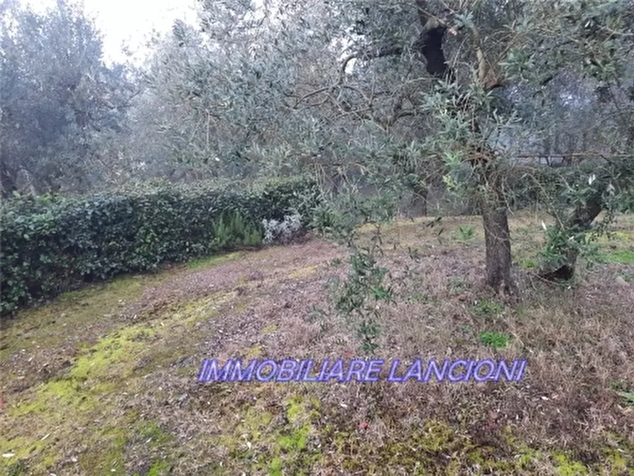 Immagine 10 di Appartamento in vendita  a Scandicci