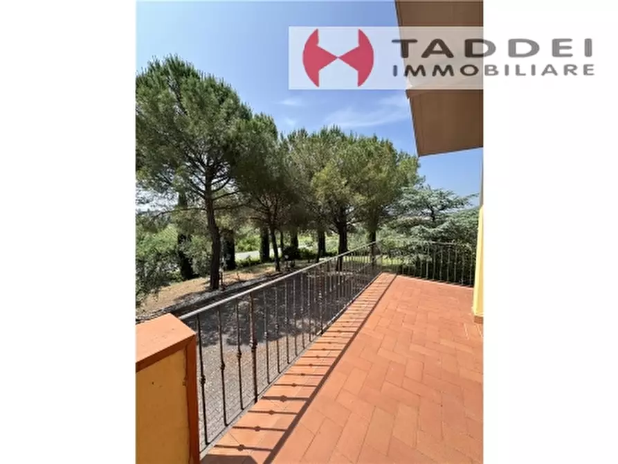 Immagine 16 di Villa in vendita  a Montespertoli