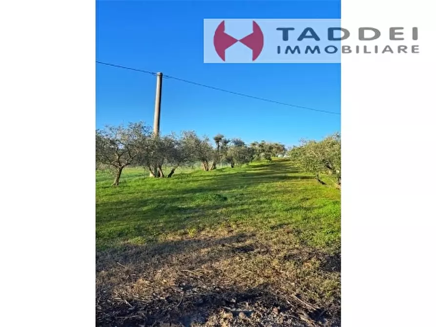 Immagine 19 di Villa in vendita  a Montespertoli