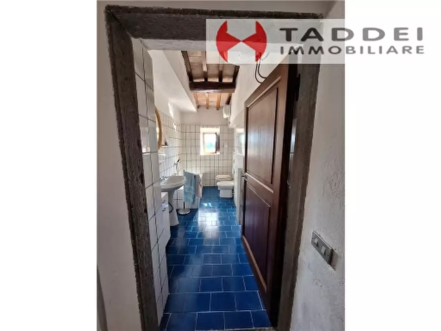 Immagine 61 di Rustico / casale in vendita  a Montespertoli