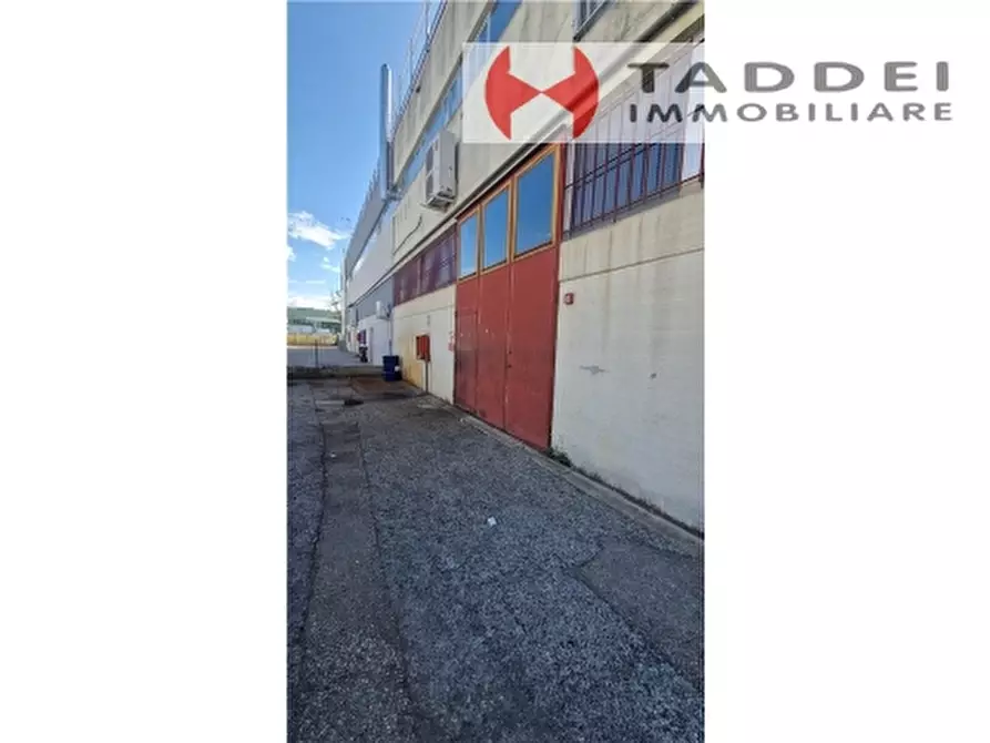 Immagine 2 di Magazzino in affitto  a Lastra A Signa