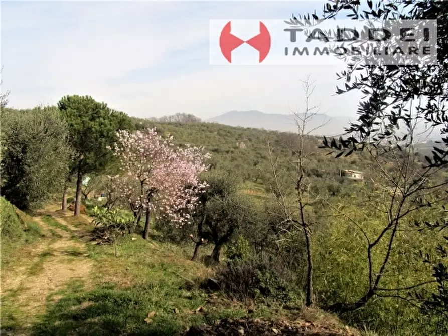 Immagine 4 di Appartamento in vendita  a Lastra A Signa