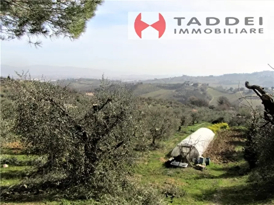 Immagine 6 di Appartamento in vendita  a Lastra A Signa