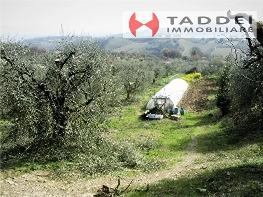 Immagine 7 di Appartamento in vendita  a Lastra A Signa