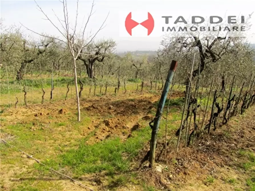 Immagine 9 di Appartamento in vendita  a Lastra A Signa