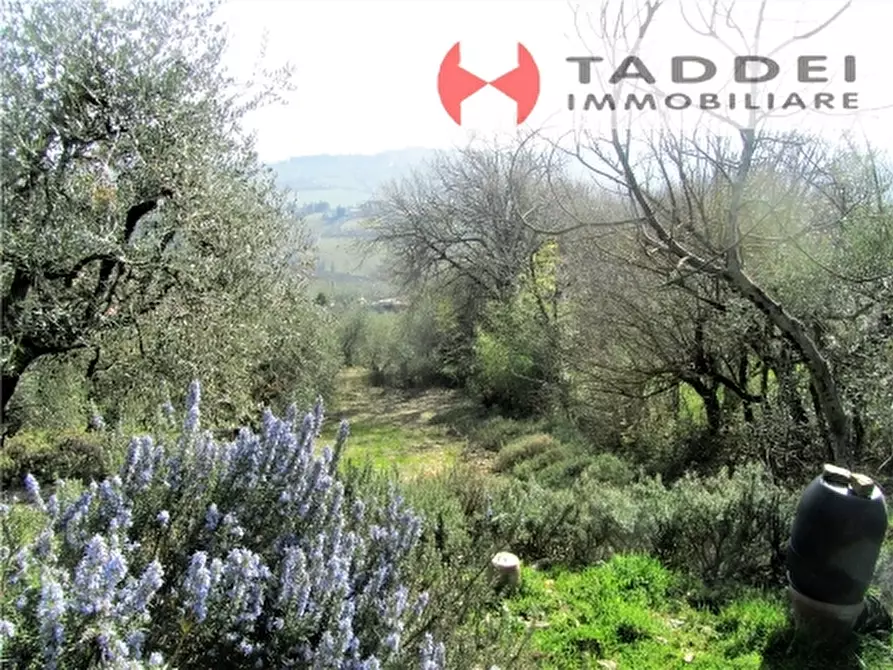 Immagine 10 di Appartamento in vendita  a Lastra A Signa