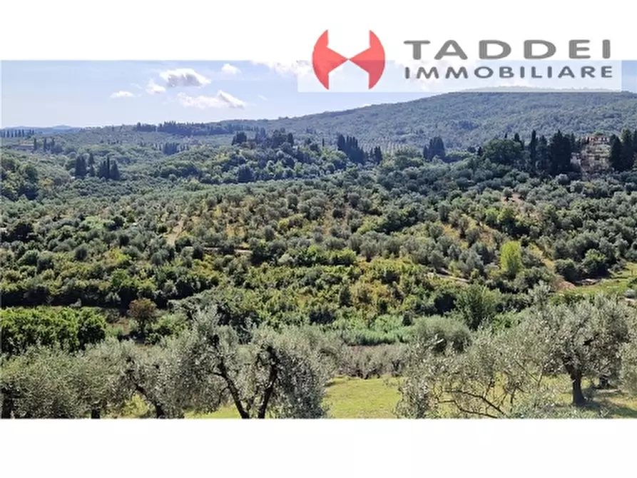 Immagine 2 di Appartamento in vendita  a Scandicci