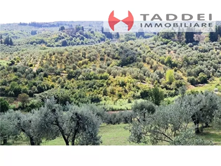 Immagine 3 di Appartamento in vendita  a Scandicci