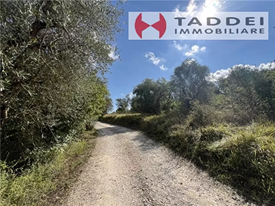 Immagine 5 di Appartamento in vendita  a Scandicci