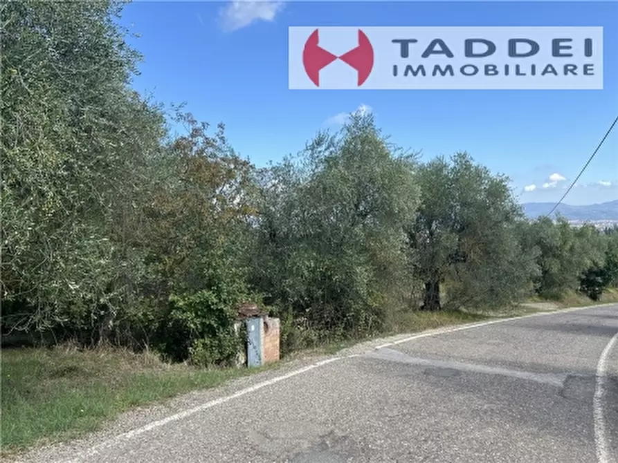 Immagine 10 di Appartamento in vendita  a Scandicci