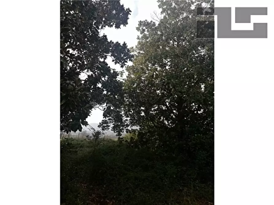 Immagine 6 di Rustico / casale in vendita  a Quarrata