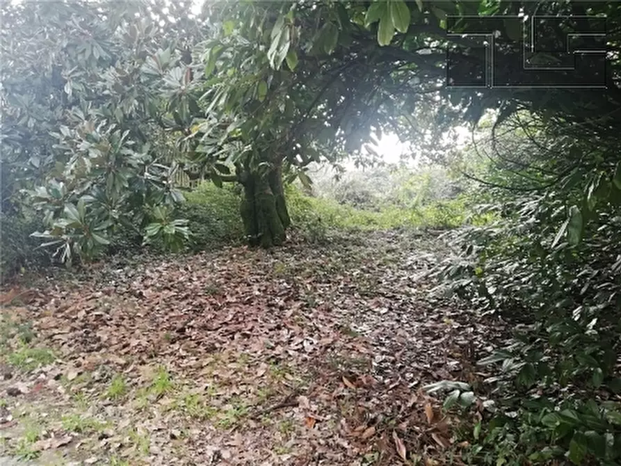 Immagine 7 di Rustico / casale in vendita  a Quarrata