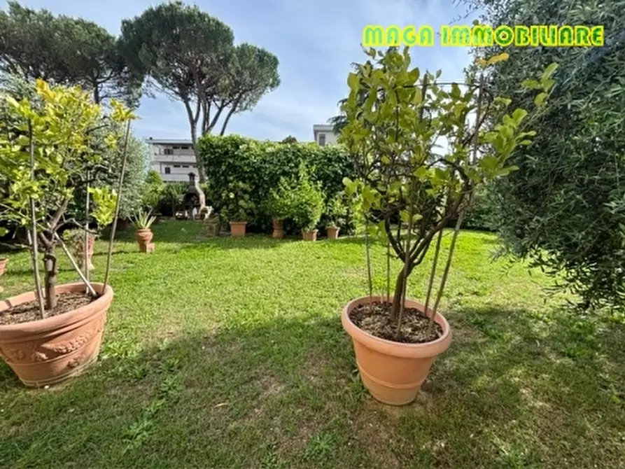 Immagine 4 di Appartamento in vendita  a Campi Bisenzio