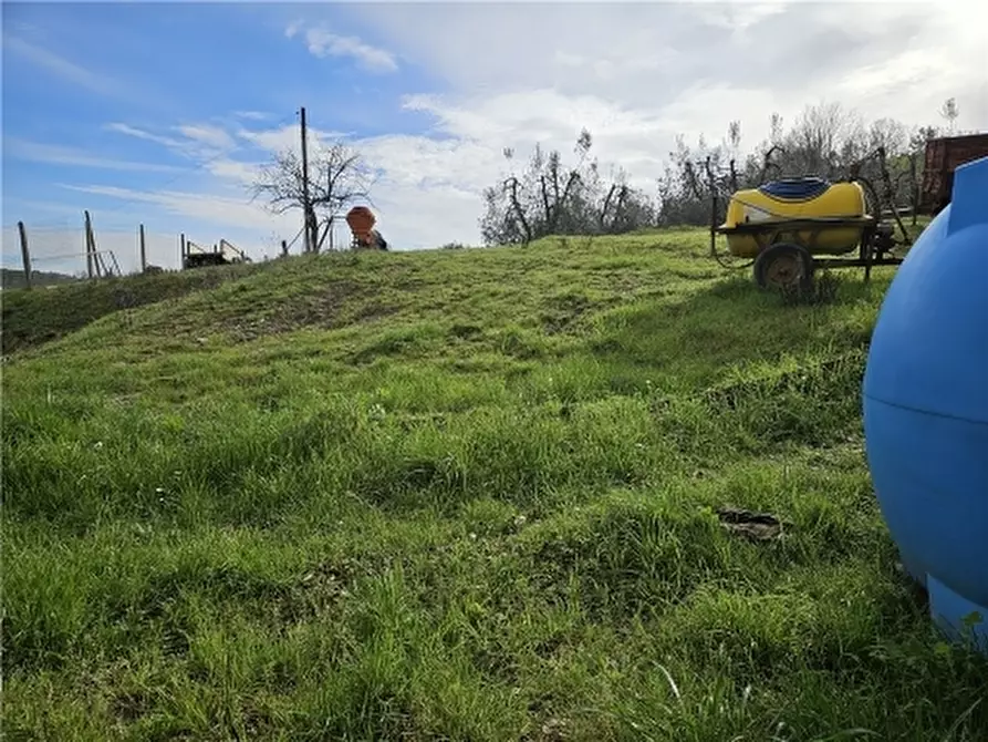 Immagine 21 di Appartamento in vendita  a Empoli