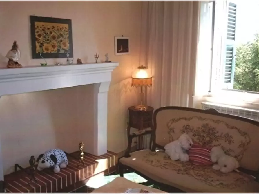 Immagine 5 di Appartamento in vendita  a Semproniano