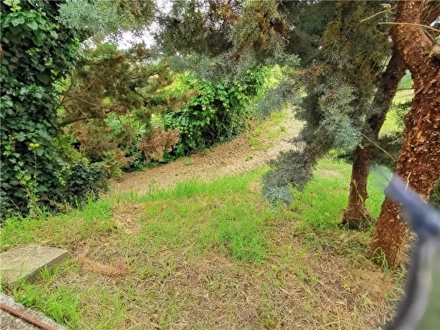 Immagine 31 di Appartamento in vendita  a Empoli