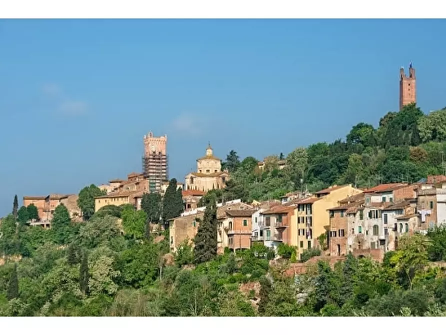 Immagine 5 di Appartamento in vendita  a San Miniato