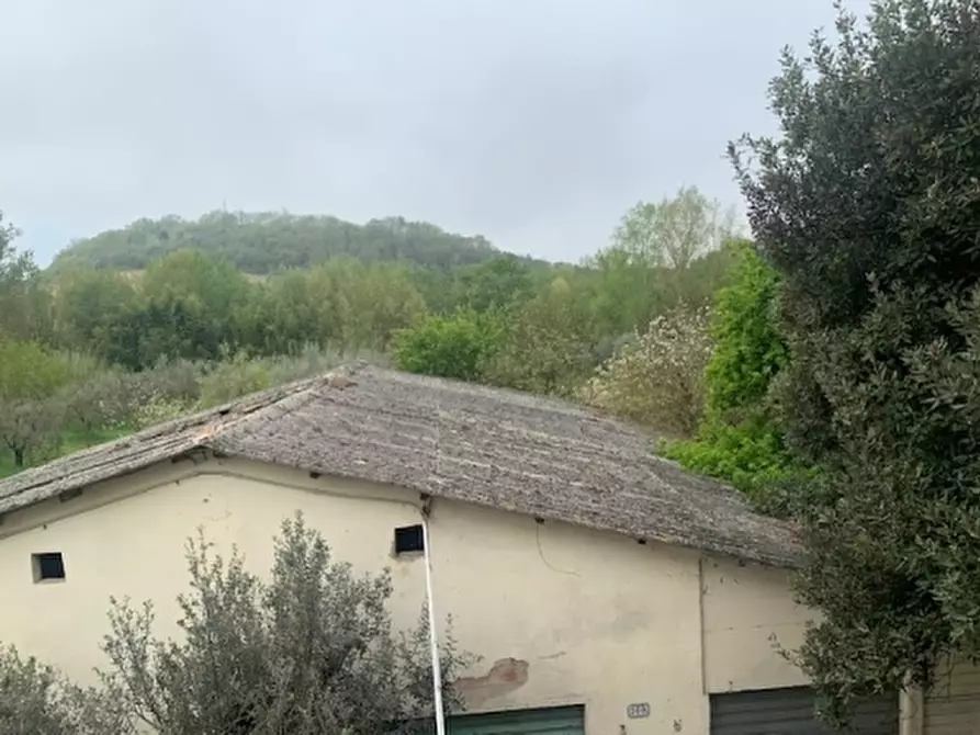 Immagine 23 di Appartamento in vendita  a Empoli