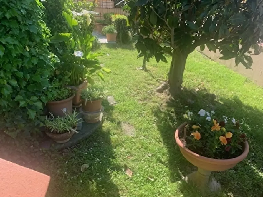 Immagine 46 di Appartamento in vendita  a Vinci