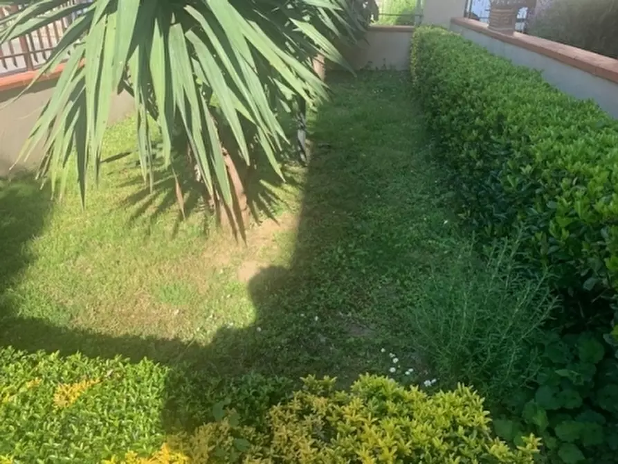 Immagine 47 di Appartamento in vendita  a Vinci