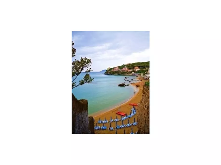 Immagine 2 di Appartamento in vendita  a Rosignano Marittimo