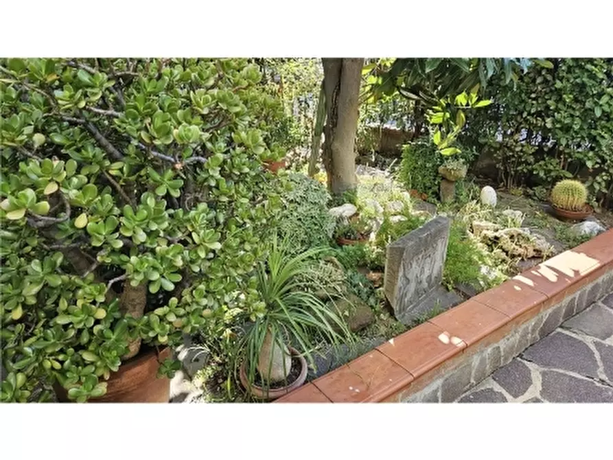 Immagine 29 di Appartamento in vendita  a Empoli