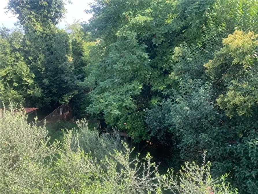 Immagine 14 di Appartamento in vendita  a San Miniato