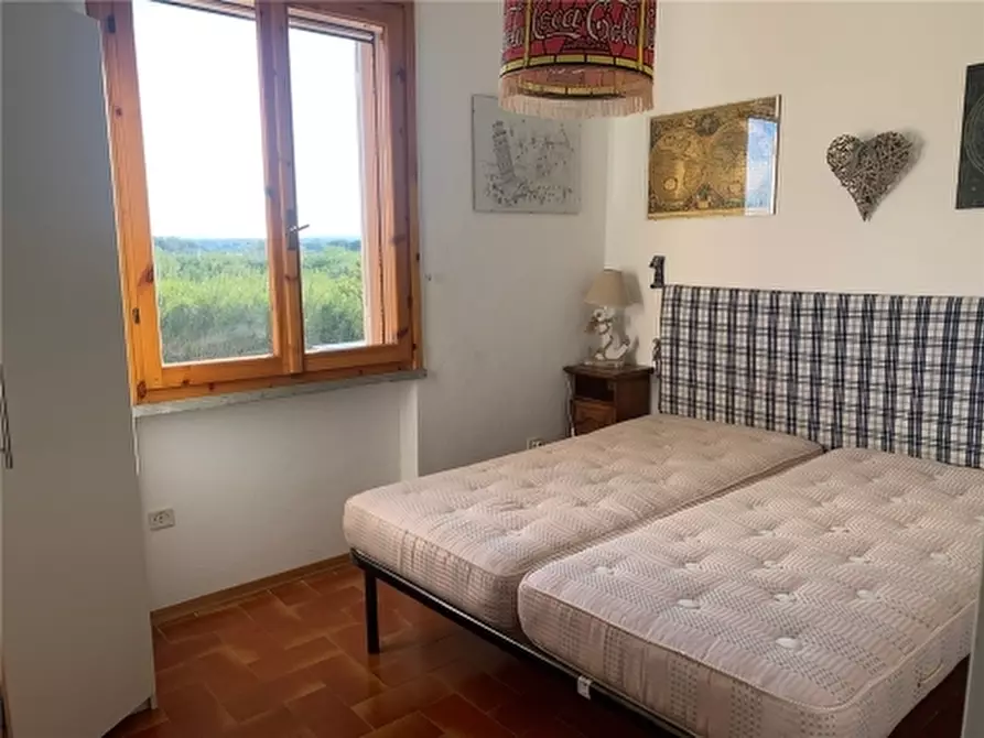 Immagine 9 di Appartamento in vendita  a Cecina