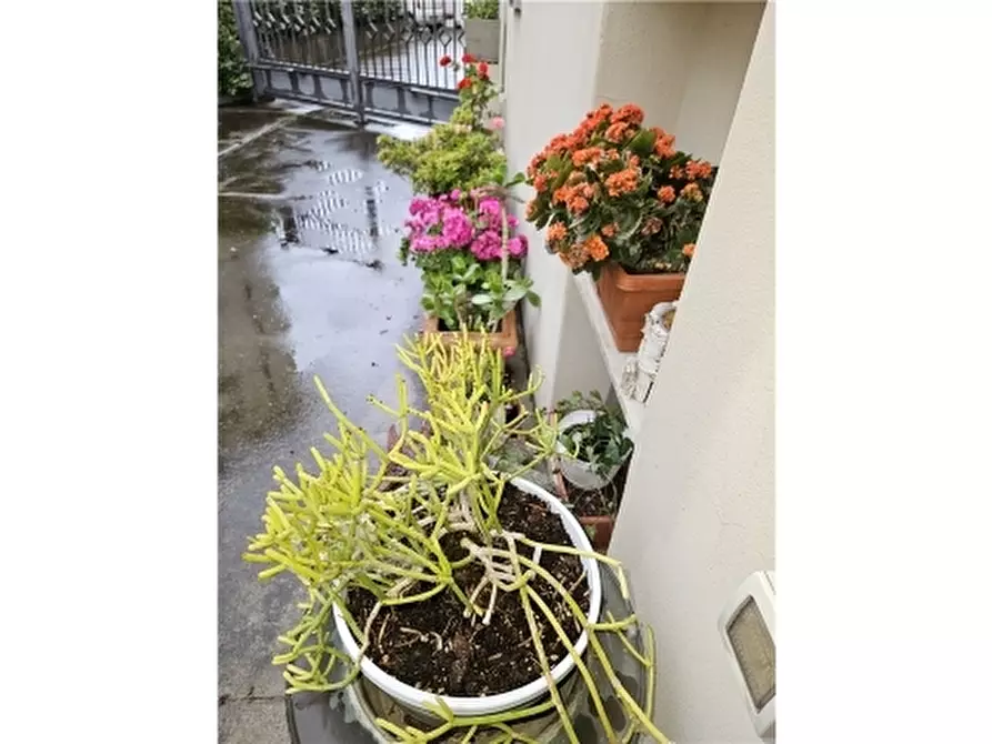 Immagine 30 di Villa in vendita  a Empoli