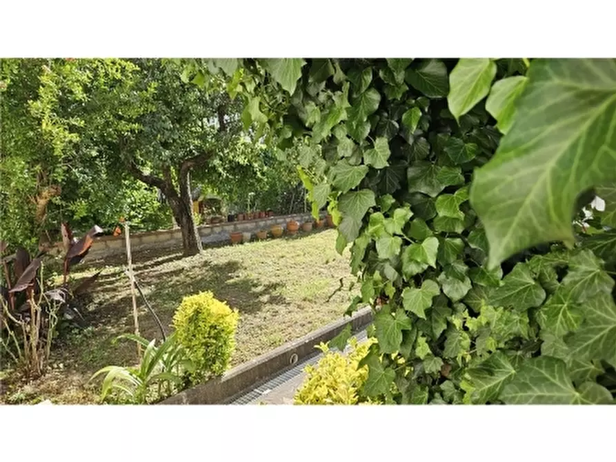 Immagine 3 di Villa in vendita  a Empoli