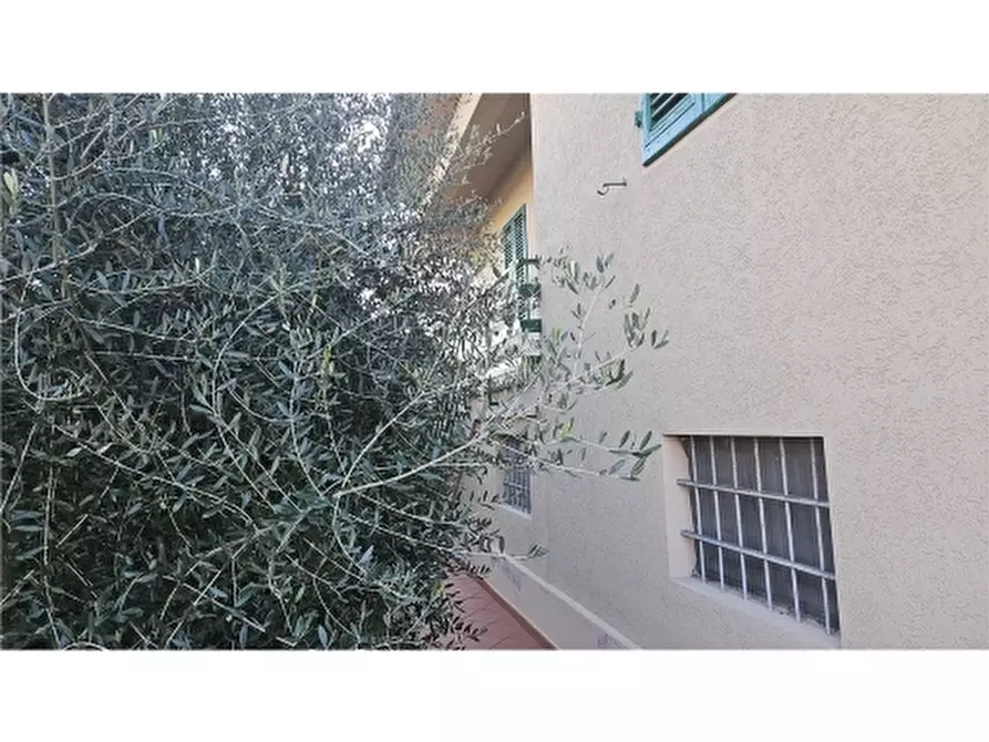 Immagine 5 di Villa in vendita  a Empoli